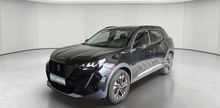 PEUGEOT 2008 BUSINESS