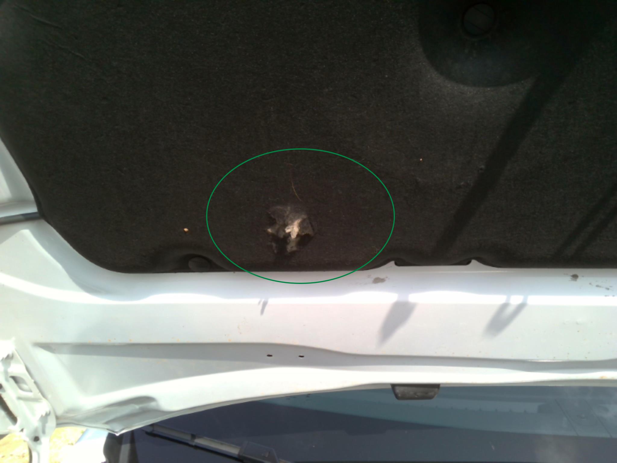PEUGEOT 208 ALLURE PURETECH 100 BVM — expertise