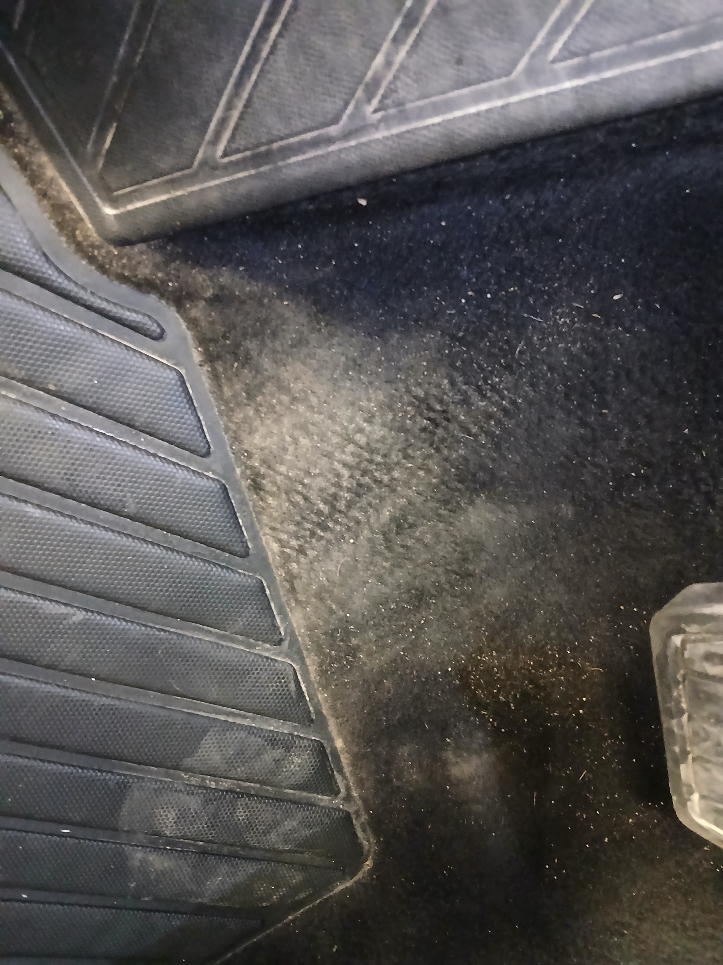 PEUGEOT 5008 BlueHDi 130ch S&S EAT8 Allure Pack — expertise