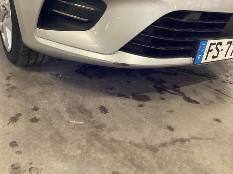 RENAULT CLIO V Blue dCi 115 Business — expertise