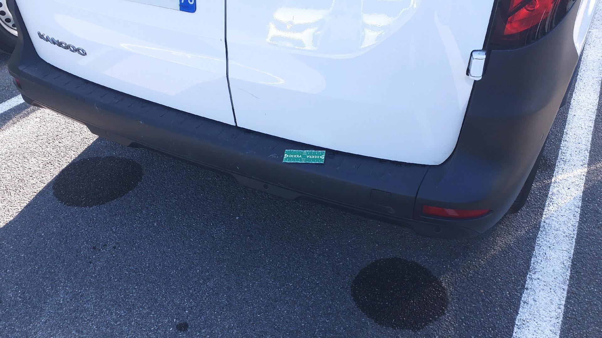 RENAULT KANGOO VAN FG TOLE BLUE DCI 95 L1 GSR2 EXTRA — expertise