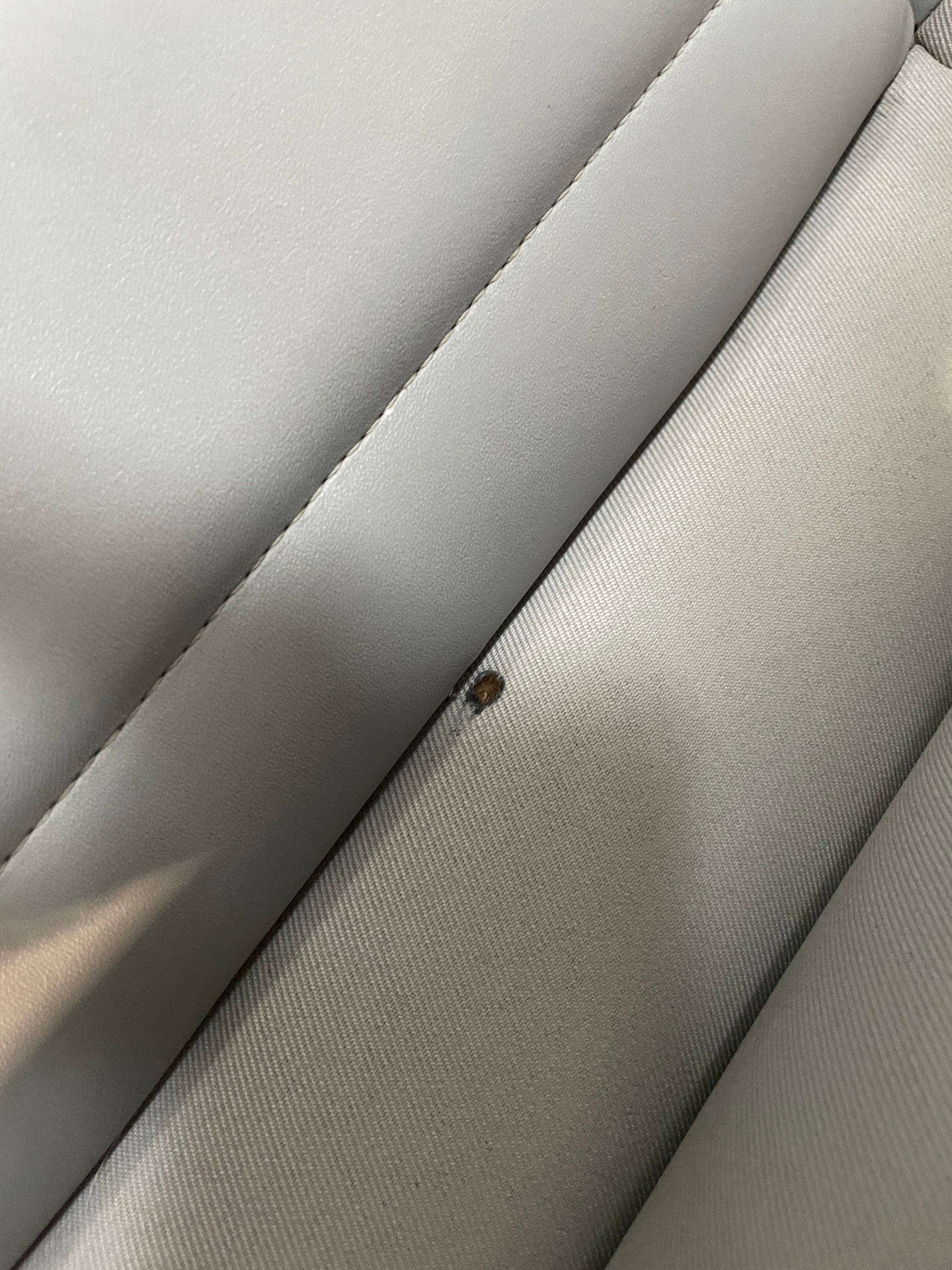 CITROEN C3 PureTech 110 BVM6 Elle - 5P — expertise