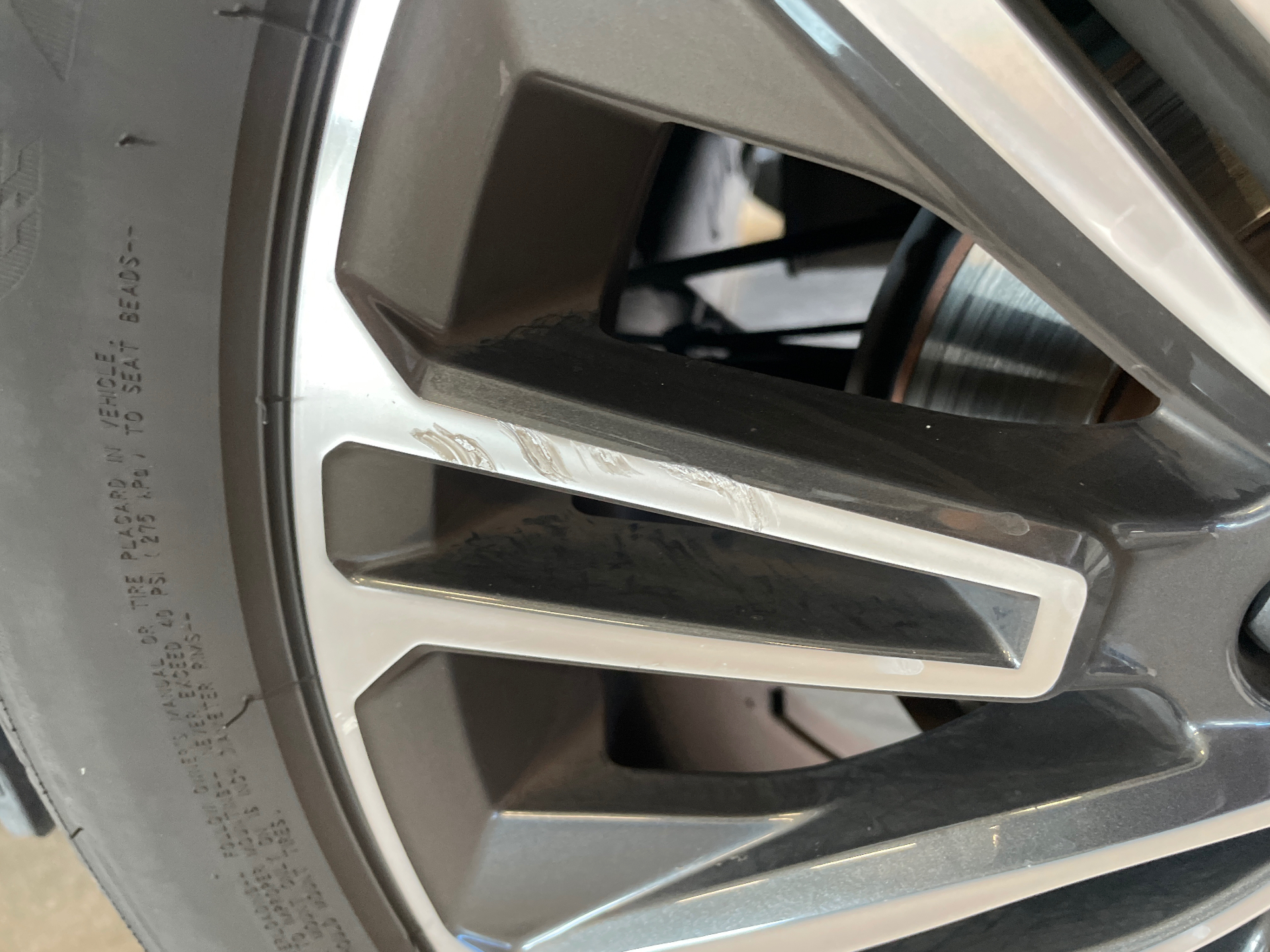 SEAT IBIZA COPA 1.0 TSI 115 DSG — expertise
