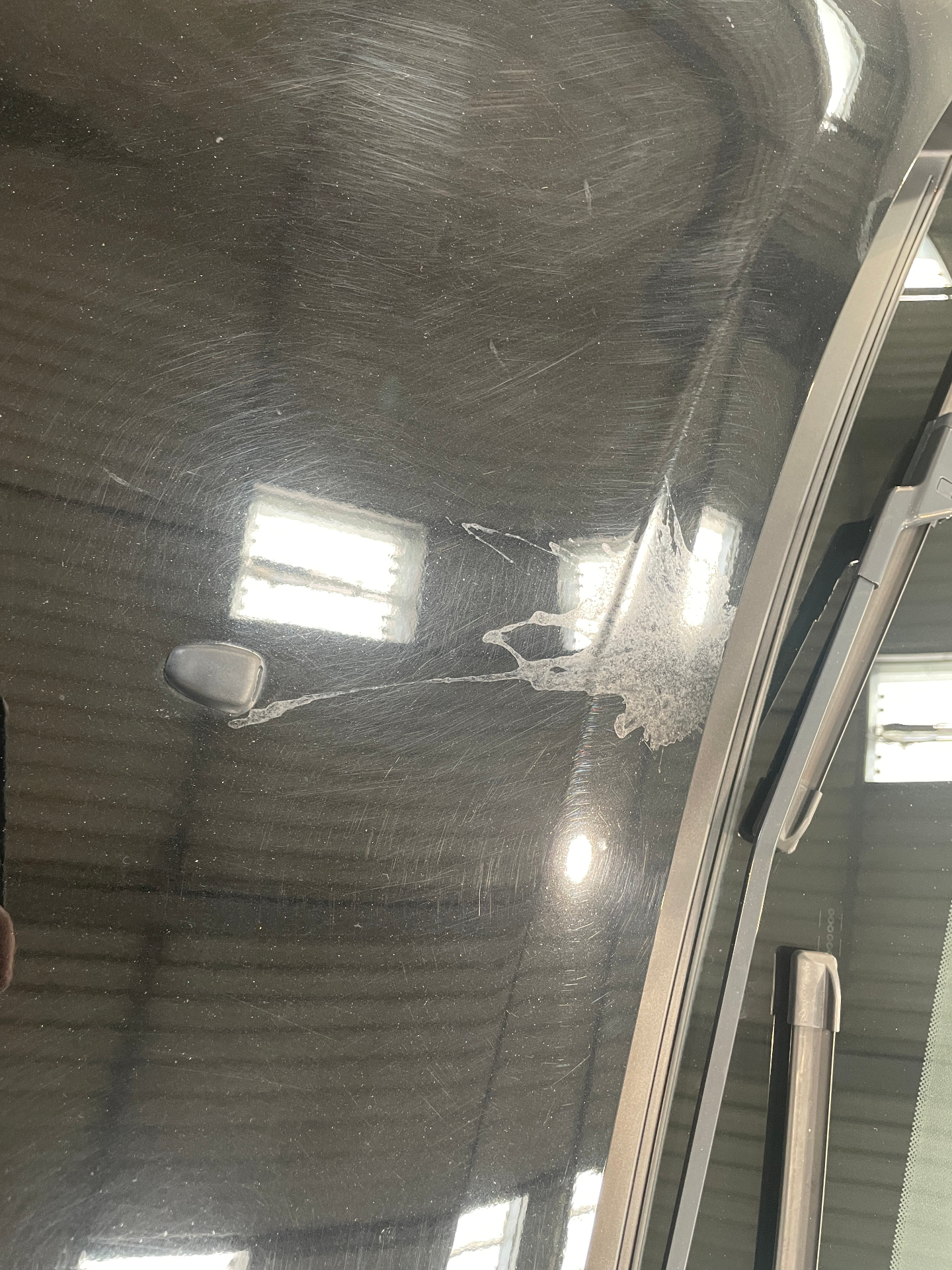 CITROEN C3 PureTech 110 S&S BVM6 Shine — expertise