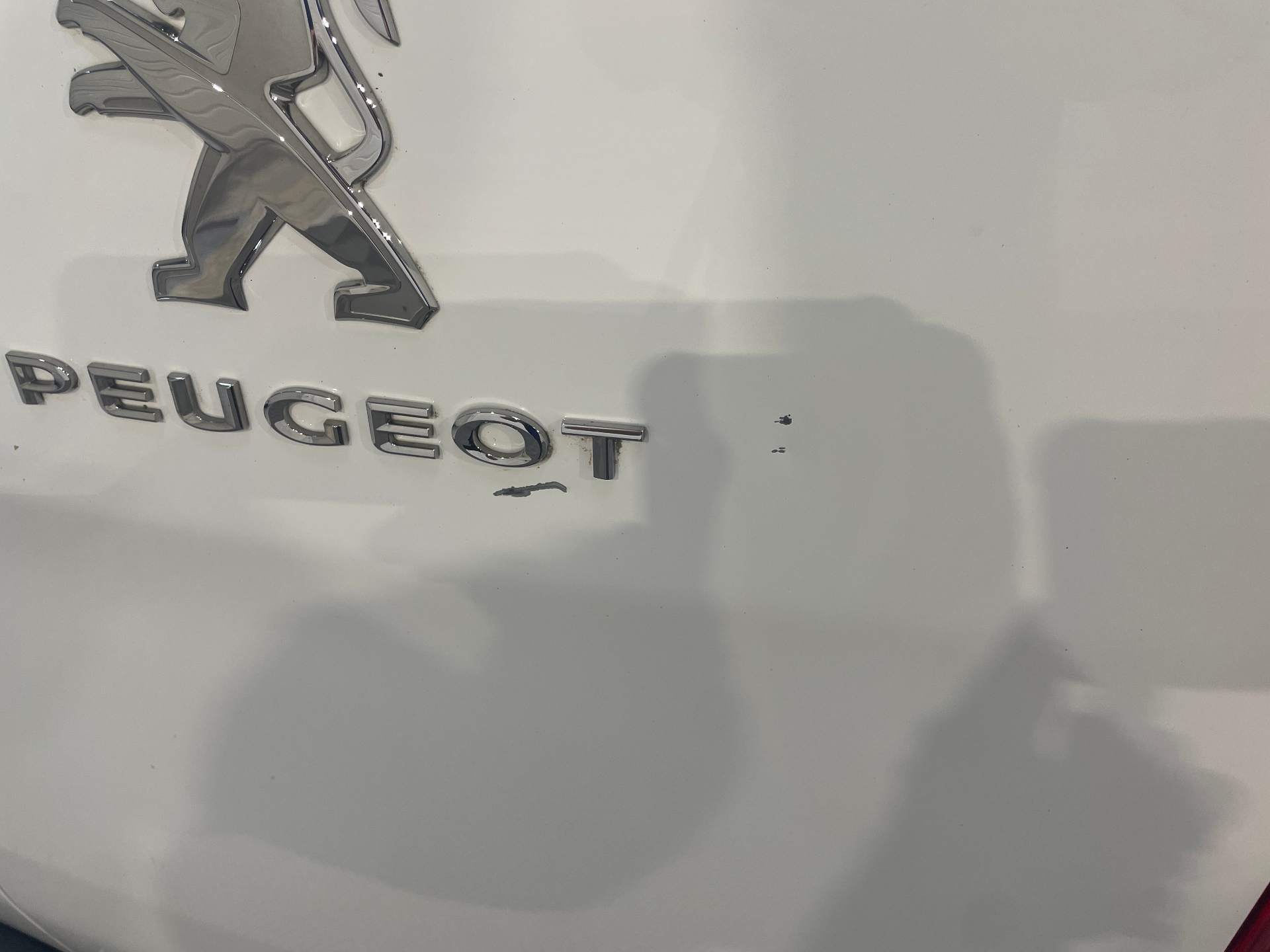 PEUGEOT EXPERT FOURGON FGN TOLE STANDARD 1.5 BLUEHDI 120 S&S BVM6 PREMIUM — expertise