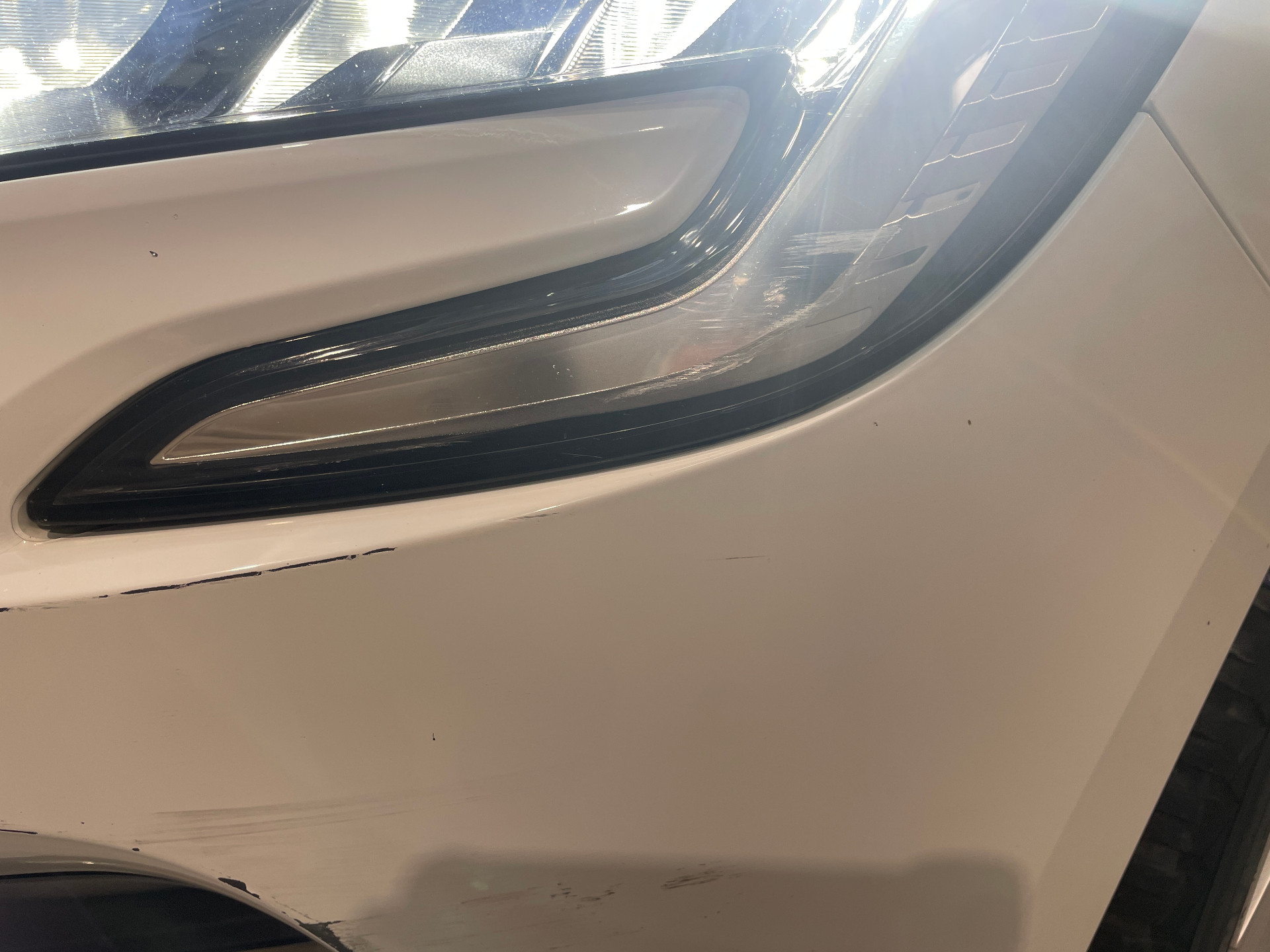 RENAULT CLIO V TCe 90 - 21 Business — expertise